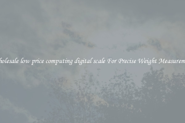 Wholesale low price computing digital scale For Precise Weight Measurement