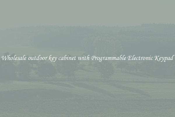 Wholesale outdoor key cabinet with Programmable Electronic Keypad 