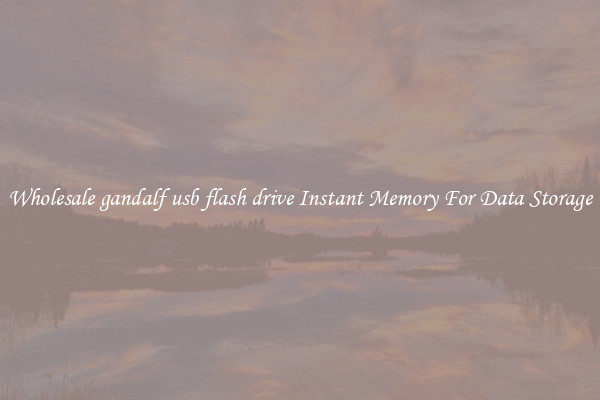Wholesale gandalf usb flash drive Instant Memory For Data Storage