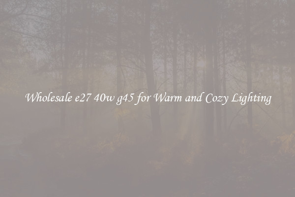 Wholesale e27 40w g45 for Warm and Cozy Lighting
