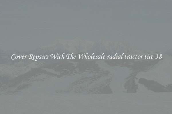  Cover Repairs With The Wholesale radial tractor tire 38 