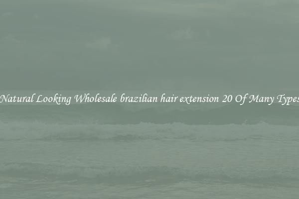 Natural Looking Wholesale brazilian hair extension 20 Of Many Types