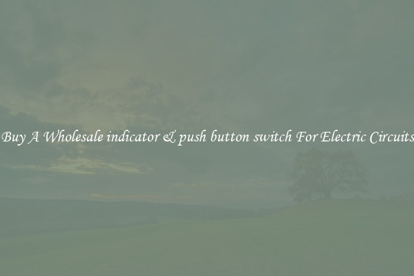 Buy A Wholesale indicator & push button switch For Electric Circuits