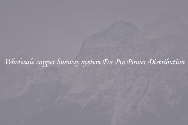 Wholesale copper busway system For Pro Power Distribution