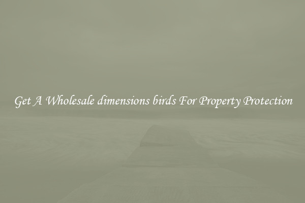 Get A Wholesale dimensions birds For Property Protection