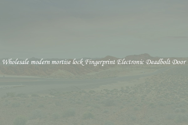 Wholesale modern mortise lock Fingerprint Electronic Deadbolt Door 