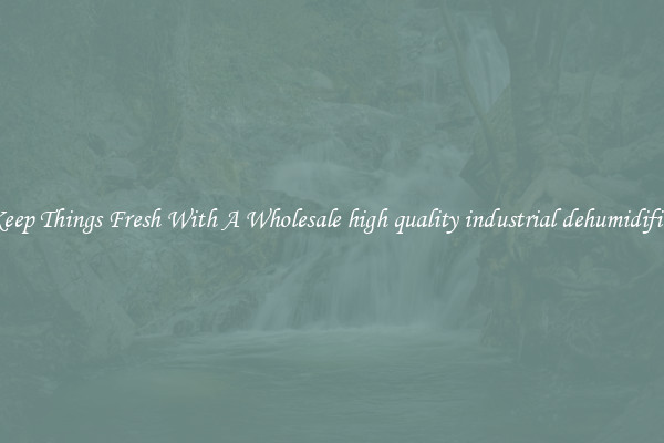 Keep Things Fresh With A Wholesale high quality industrial dehumidifier