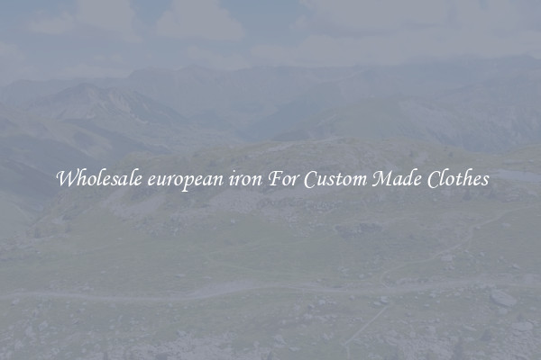 Wholesale european iron For Custom Made Clothes