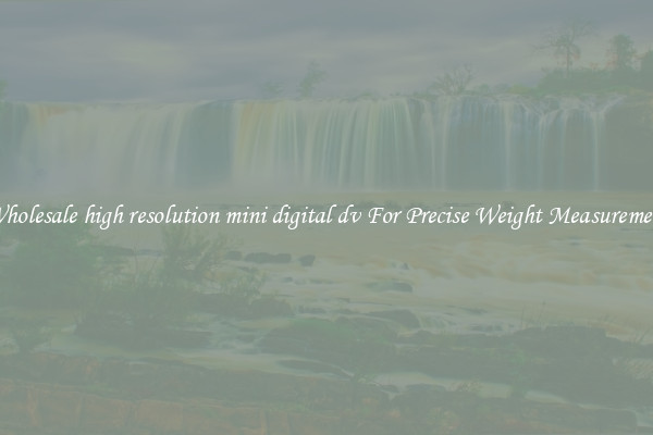 Wholesale high resolution mini digital dv For Precise Weight Measurement