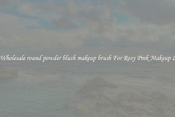 Buy Wholesale round powder blush makeup brush For Rosy Pink Makeup Looks