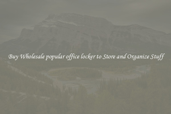 Buy Wholesale popular office locker to Store and Organize Stuff