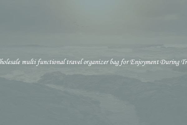 Wholesale multi functional travel organizer bag for Enjoyment During Trips