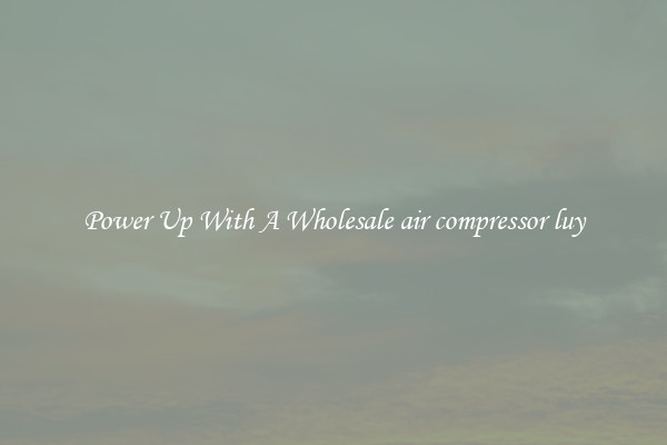 Power Up With A Wholesale air compressor luy