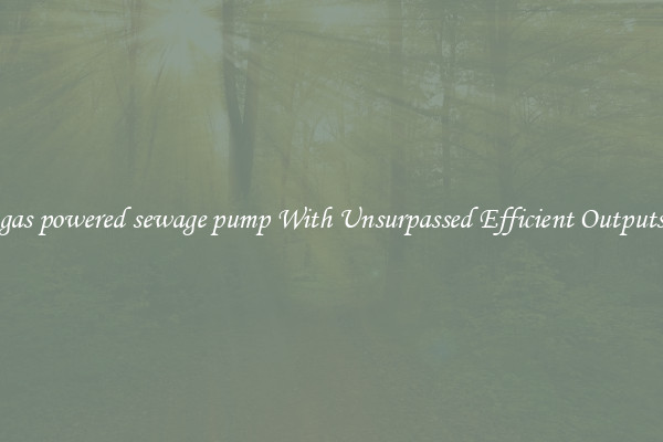 gas powered sewage pump With Unsurpassed Efficient Outputs