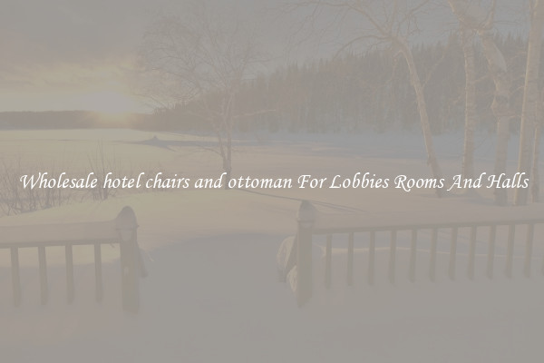 Wholesale hotel chairs and ottoman For Lobbies Rooms And Halls