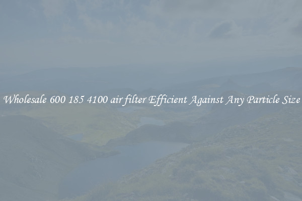 Wholesale 600 185 4100 air filter Efficient Against Any Particle Size