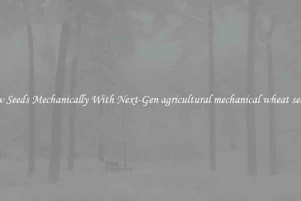 Sow Seeds Mechanically With Next-Gen agricultural mechanical wheat seeder
