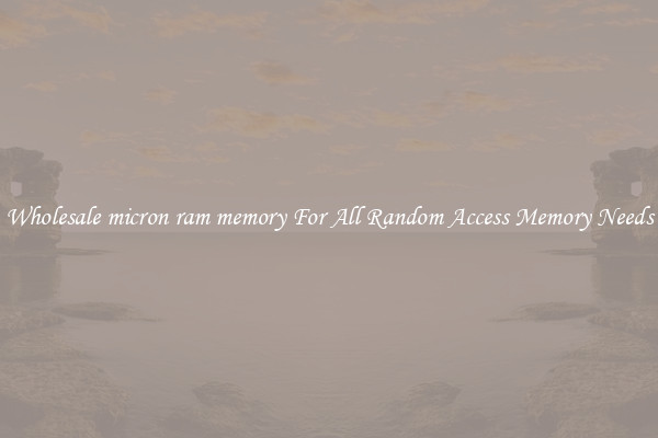 Wholesale micron ram memory For All Random Access Memory Needs