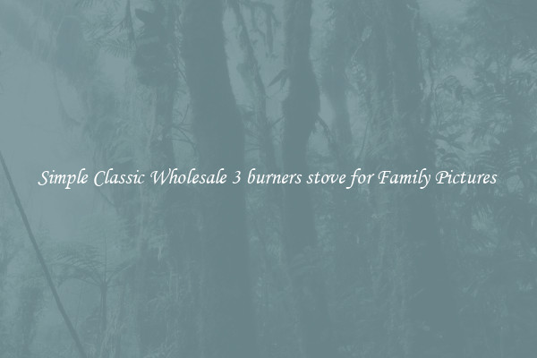 Simple Classic Wholesale 3 burners stove for Family Pictures 